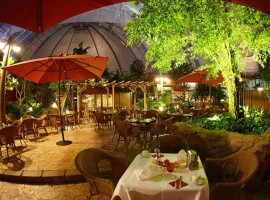 Thi công tiểu cảnh quán cafe